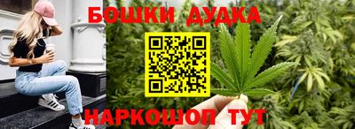 прущие крисы Будённовск
